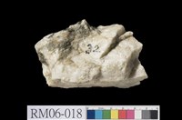 藏品(石英岩)的圖片